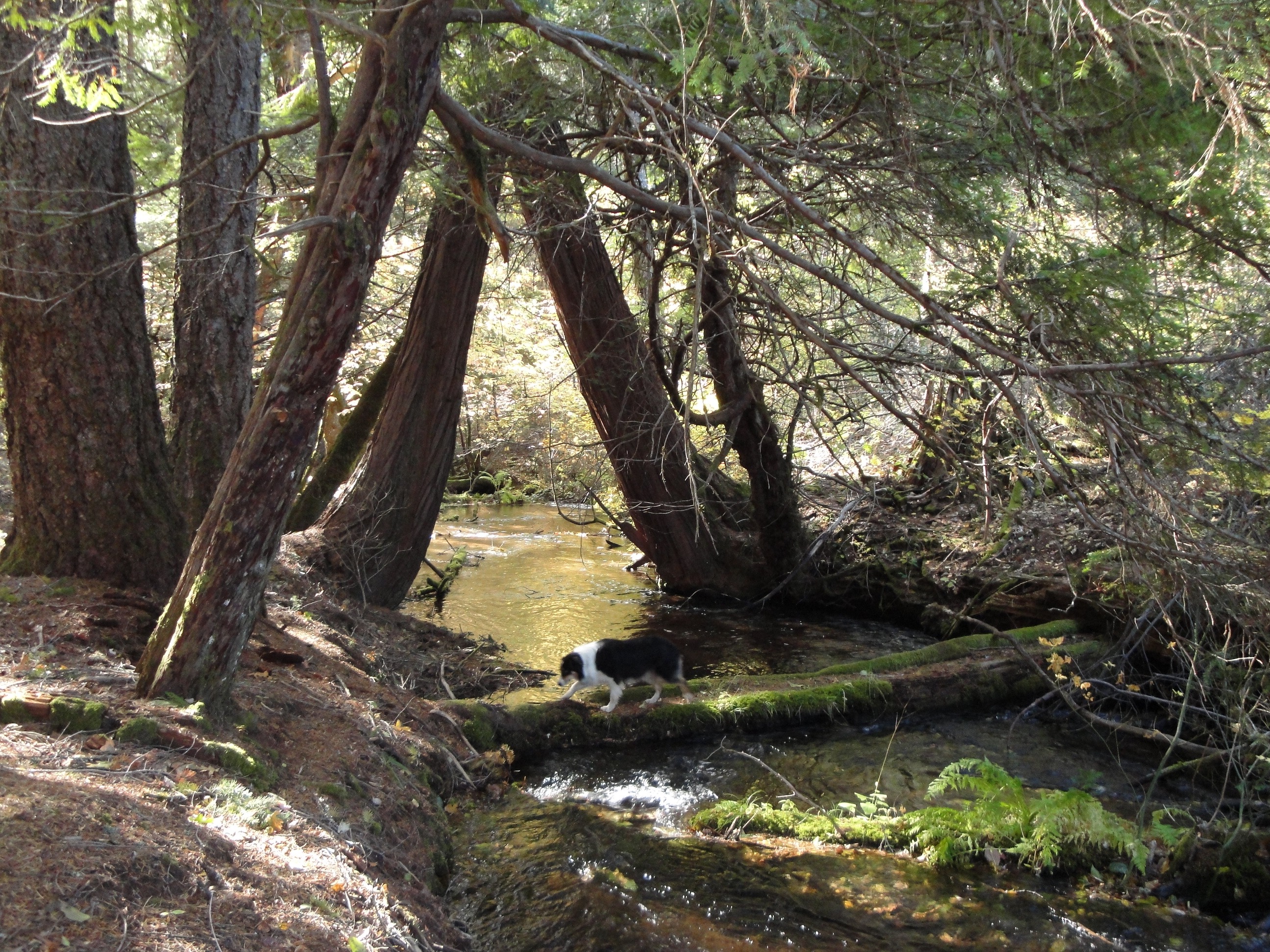 creek