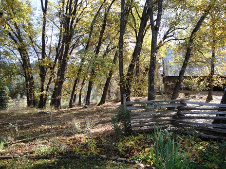 barn